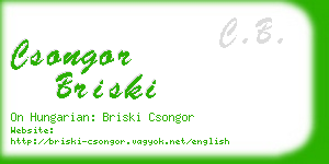 csongor briski business card